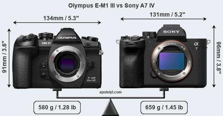 Size Olympus E-M1 III vs Sony A7 IV
