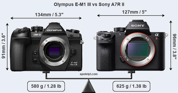 Size Olympus E-M1 III vs Sony A7R II