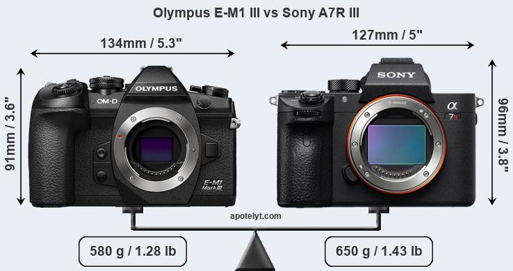Size Olympus E-M1 III vs Sony A7R III
