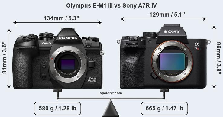Size Olympus E-M1 III vs Sony A7R IV