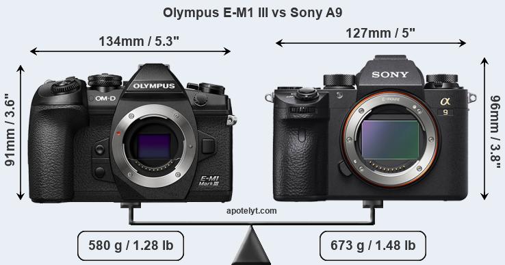 Size Olympus E-M1 III vs Sony A9