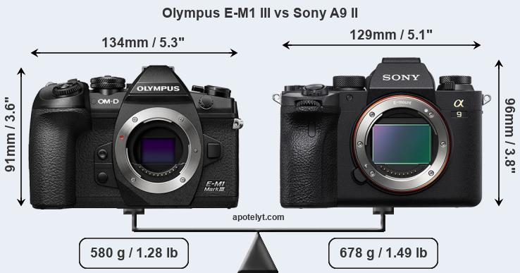 Size Olympus E-M1 III vs Sony A9 II