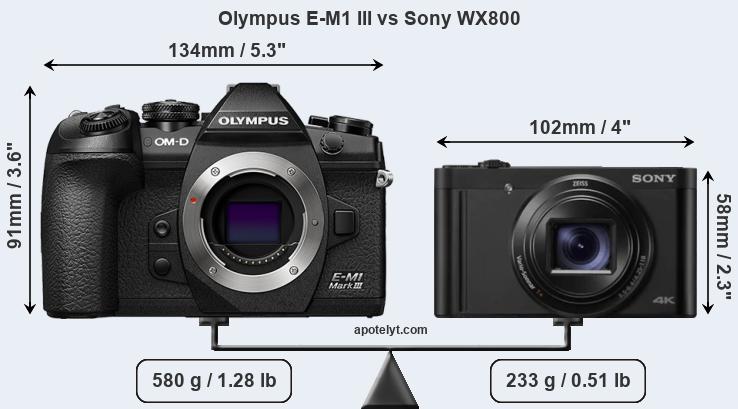 Size Olympus E-M1 III vs Sony WX800