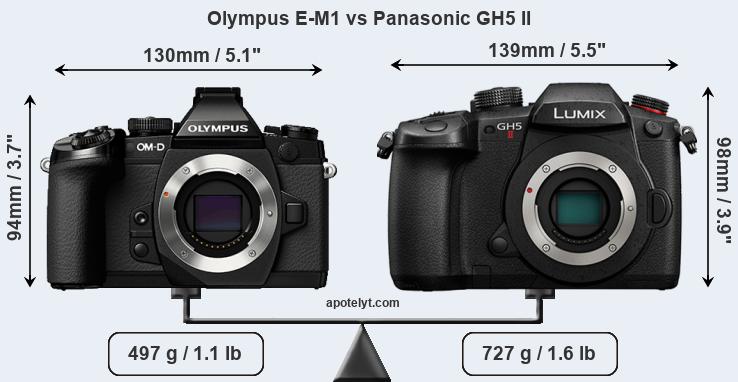 Size Olympus E-M1 vs Panasonic GH5 II