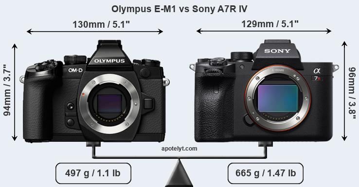 Size Olympus E-M1 vs Sony A7R IV