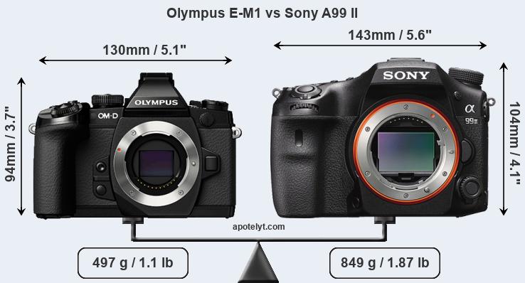 Size Olympus E-M1 vs Sony A99 II