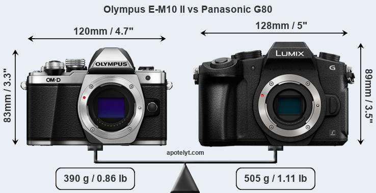 Size Olympus E-M10 II vs Panasonic G80