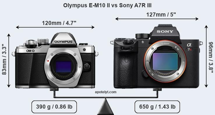 Size Olympus E-M10 II vs Sony A7R III
