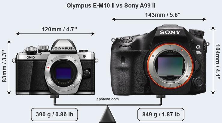 Size Olympus E-M10 II vs Sony A99 II