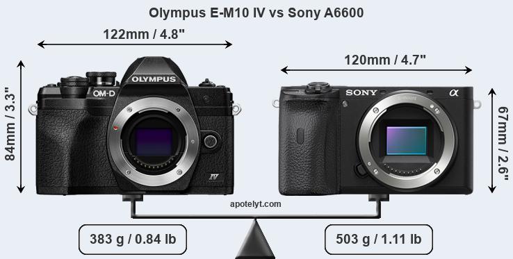 Size Olympus E-M10 IV vs Sony A6600