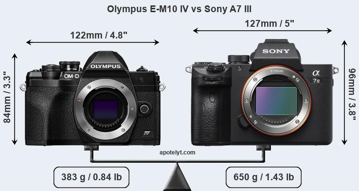 Size Olympus E-M10 IV vs Sony A7 III