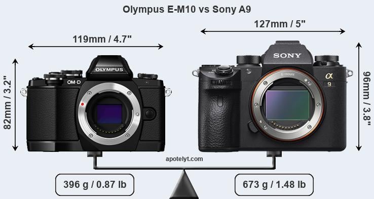 Size Olympus E-M10 vs Sony A9