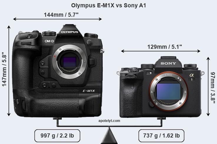 Size Olympus E-M1X vs Sony A1