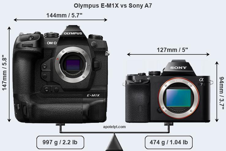 Size Olympus E-M1X vs Sony A7
