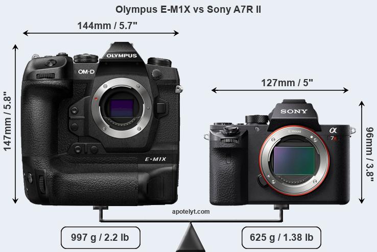 Size Olympus E-M1X vs Sony A7R II