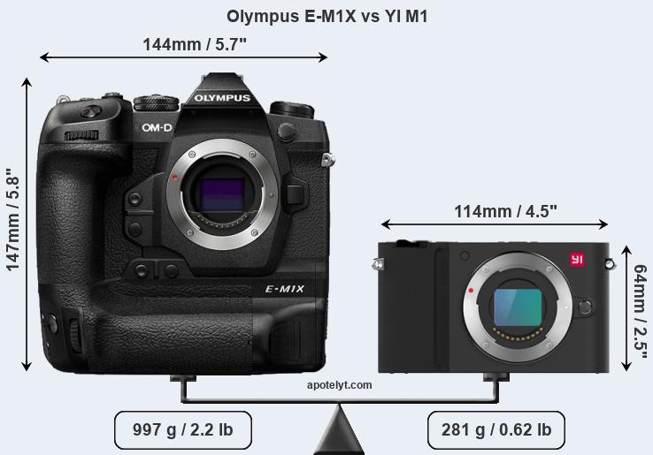 Size Olympus E-M1X vs YI M1