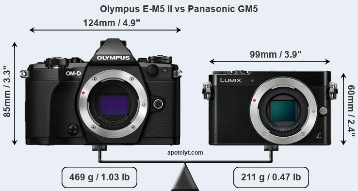 Size Olympus E-M5 II vs Panasonic GM5