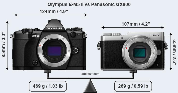 Size Olympus E-M5 II vs Panasonic GX800