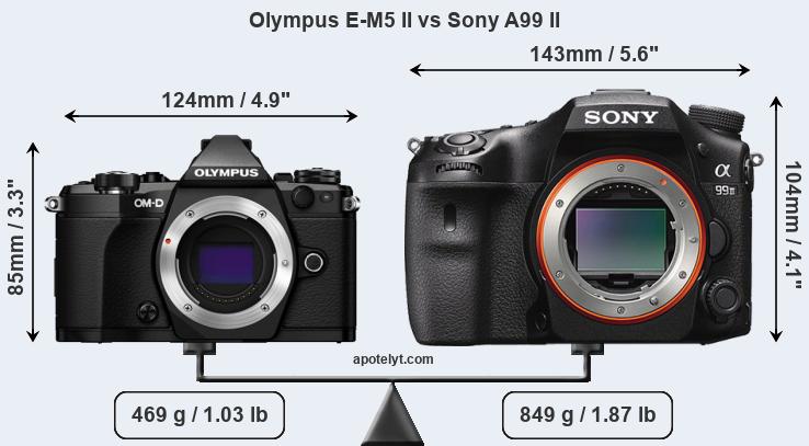 Size Olympus E-M5 II vs Sony A99 II