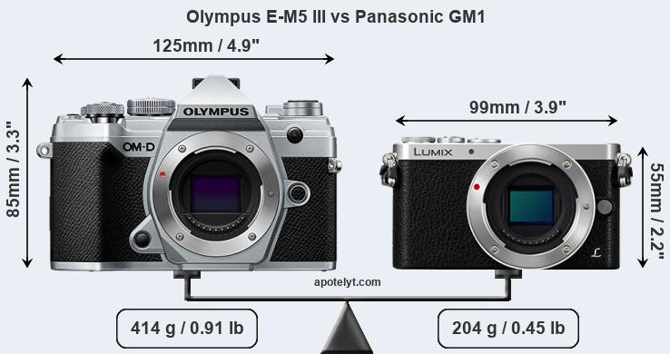 Size Olympus E-M5 III vs Panasonic GM1