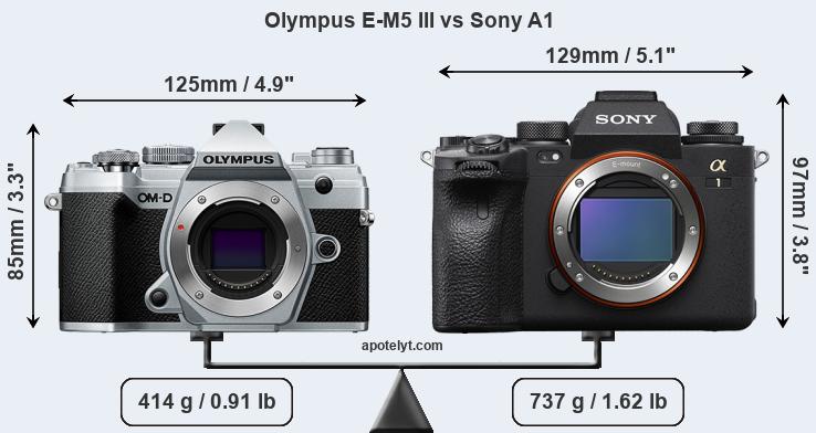 Size Olympus E-M5 III vs Sony A1