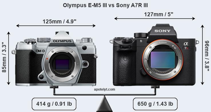 Size Olympus E-M5 III vs Sony A7R III