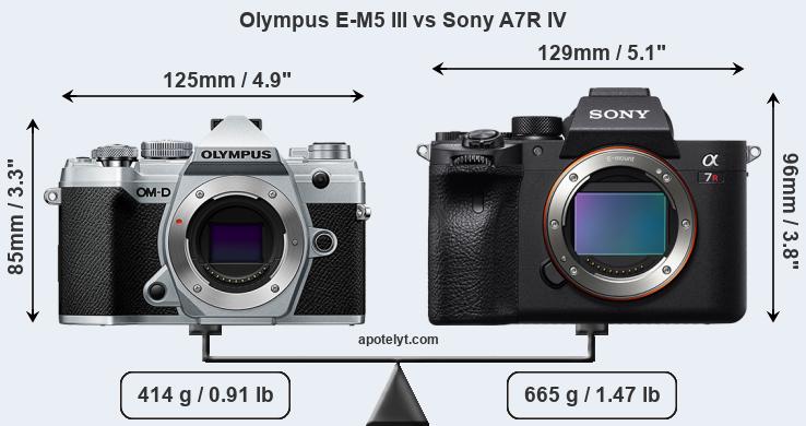 Size Olympus E-M5 III vs Sony A7R IV