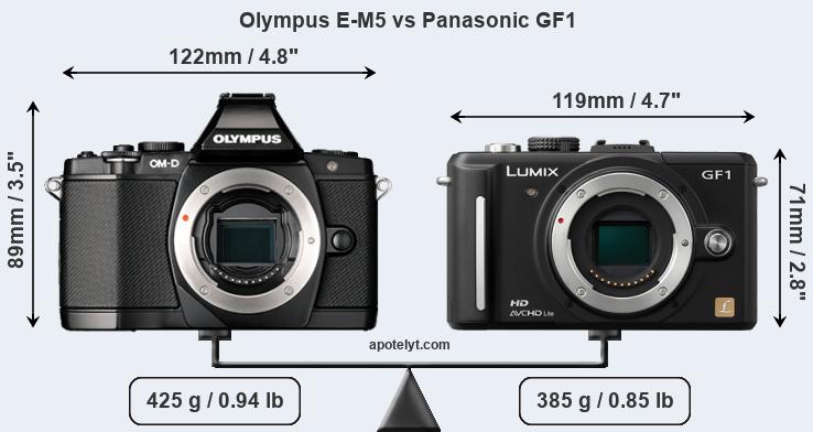 Size Olympus E-M5 vs Panasonic GF1