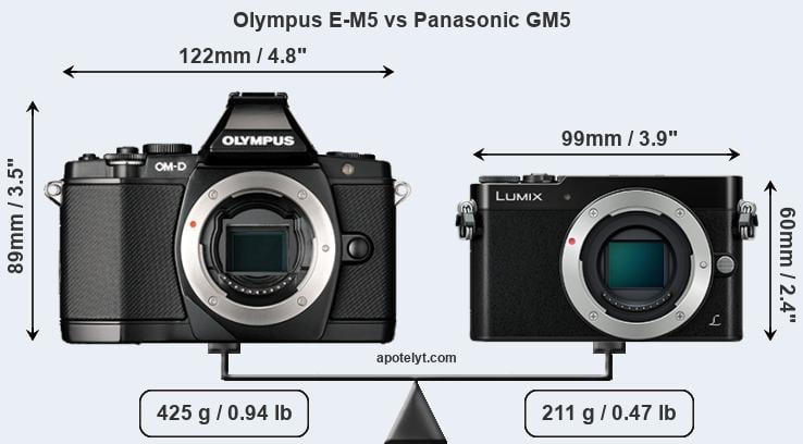 Size Olympus E-M5 vs Panasonic GM5