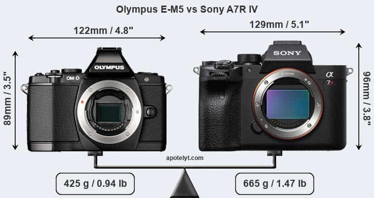 Size Olympus E-M5 vs Sony A7R IV