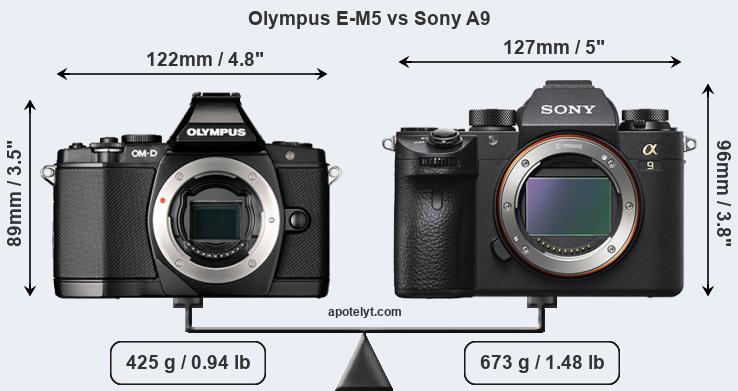 Size Olympus E-M5 vs Sony A9