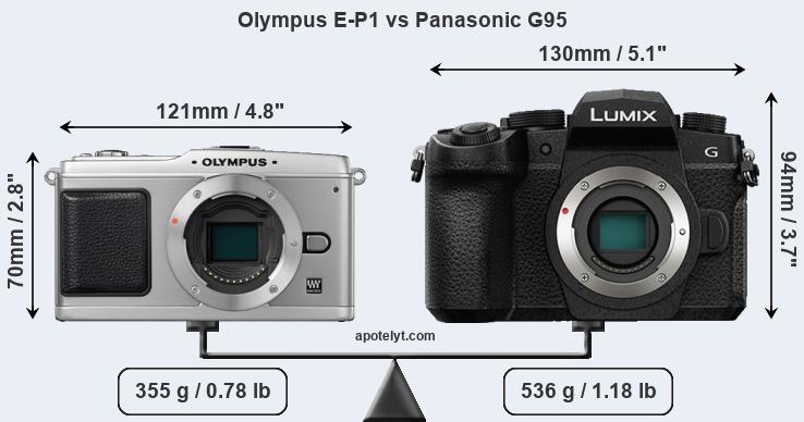 Size Olympus E-P1 vs Panasonic G95