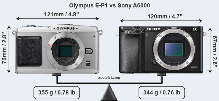Size Olympus E-P1 vs Sony A6000