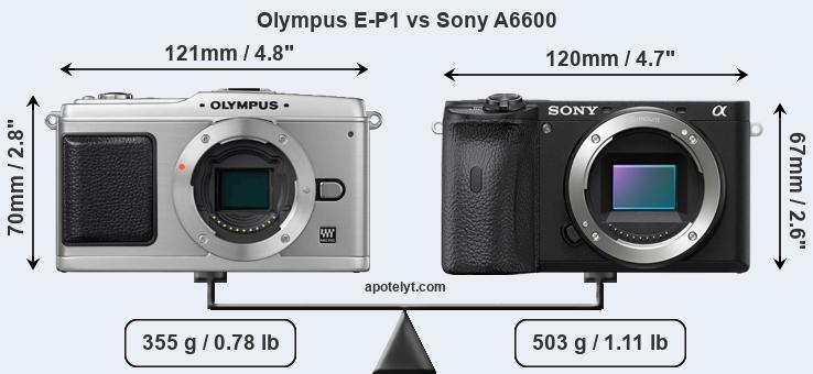 Size Olympus E-P1 vs Sony A6600