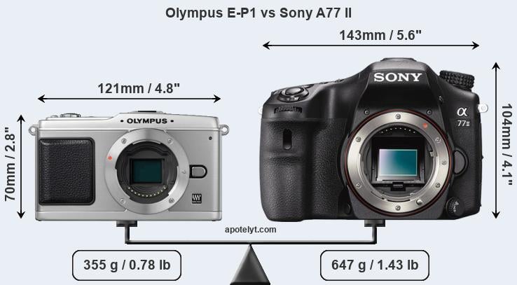 Size Olympus E-P1 vs Sony A77 II