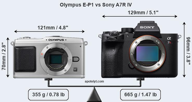 Size Olympus E-P1 vs Sony A7R IV