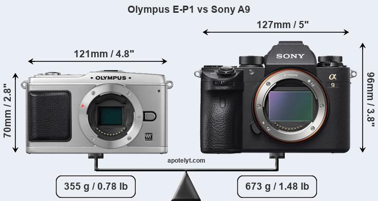 Size Olympus E-P1 vs Sony A9