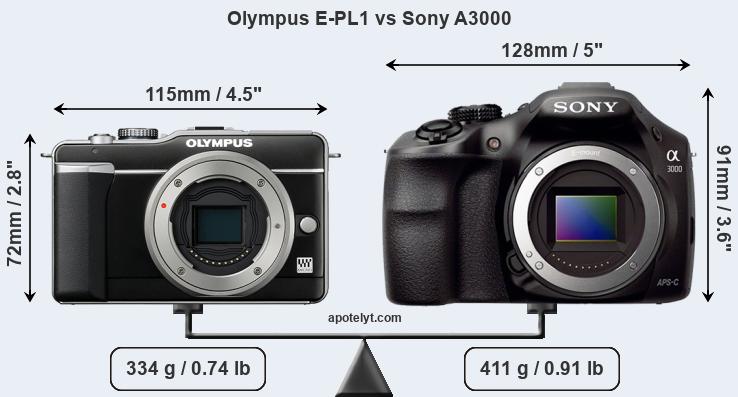 Size Olympus E-PL1 vs Sony A3000