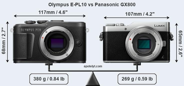 Size Olympus E-PL10 vs Panasonic GX800
