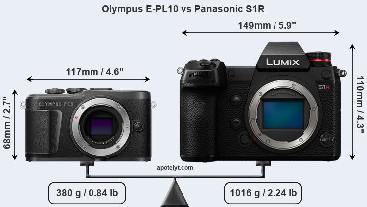 Size Olympus E-PL10 vs Panasonic S1R