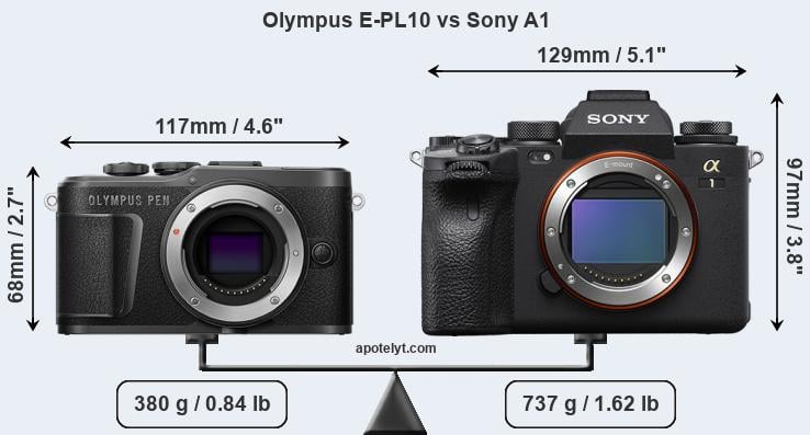 Size Olympus E-PL10 vs Sony A1