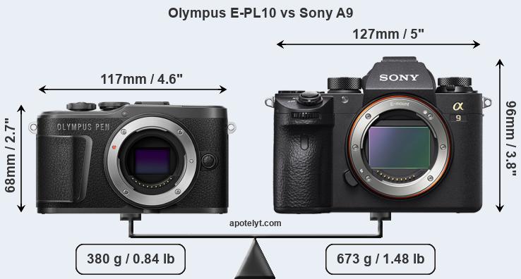 Size Olympus E-PL10 vs Sony A9