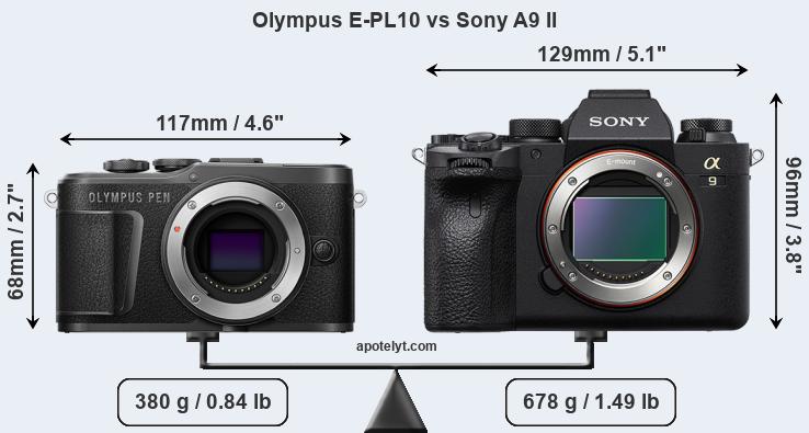 Size Olympus E-PL10 vs Sony A9 II