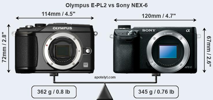 Size Olympus E-PL2 vs Sony NEX-6