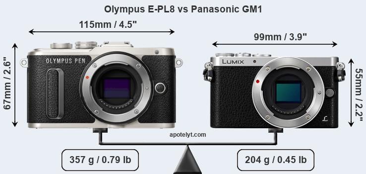 Size Olympus E-PL8 vs Panasonic GM1