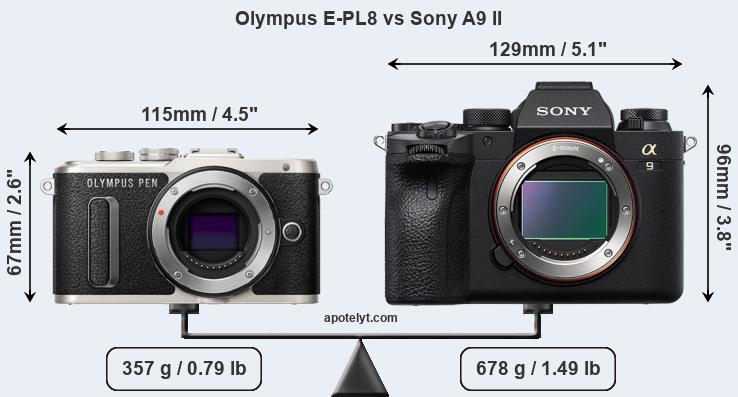 Size Olympus E-PL8 vs Sony A9 II