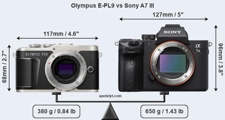 Size Olympus E-PL9 vs Sony A7 III
