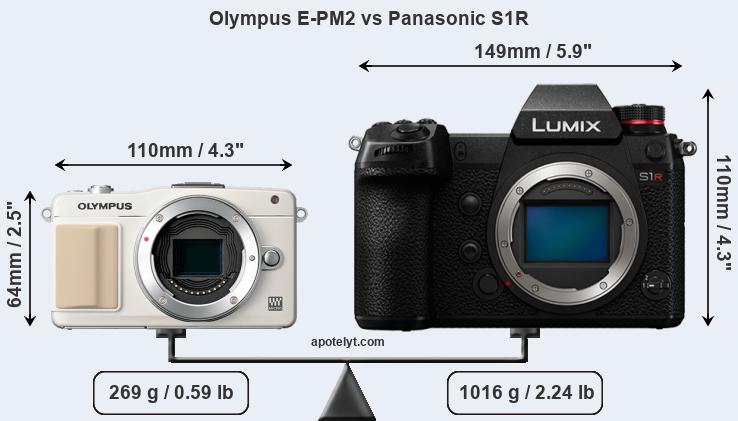 Size Olympus E-PM2 vs Panasonic S1R