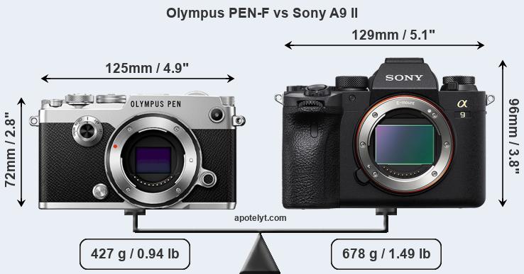 Size Olympus PEN-F vs Sony A9 II