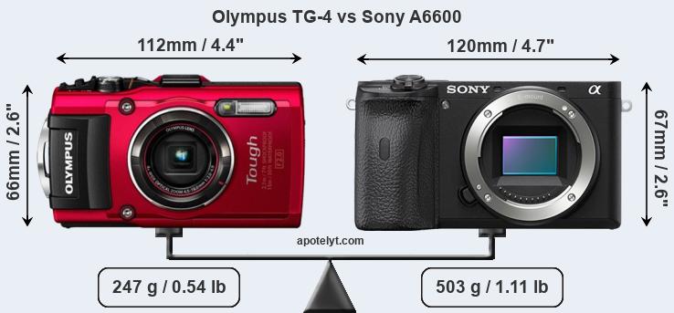 Size Olympus TG-4 vs Sony A6600